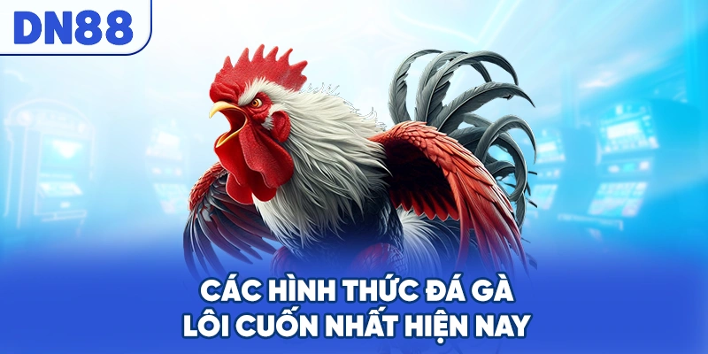 Các hình thức đá gà lôi cuốn nhất hiện nay